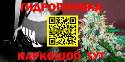 прущая мука Гусев