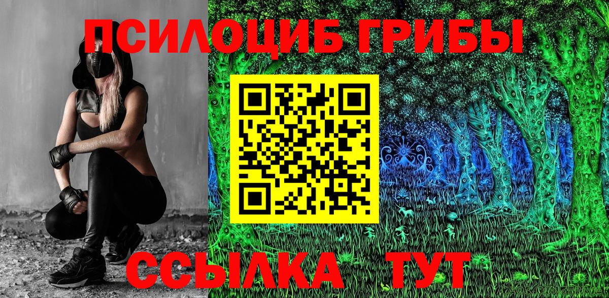 Галлюциногенные грибы мухоморы Новосибирск